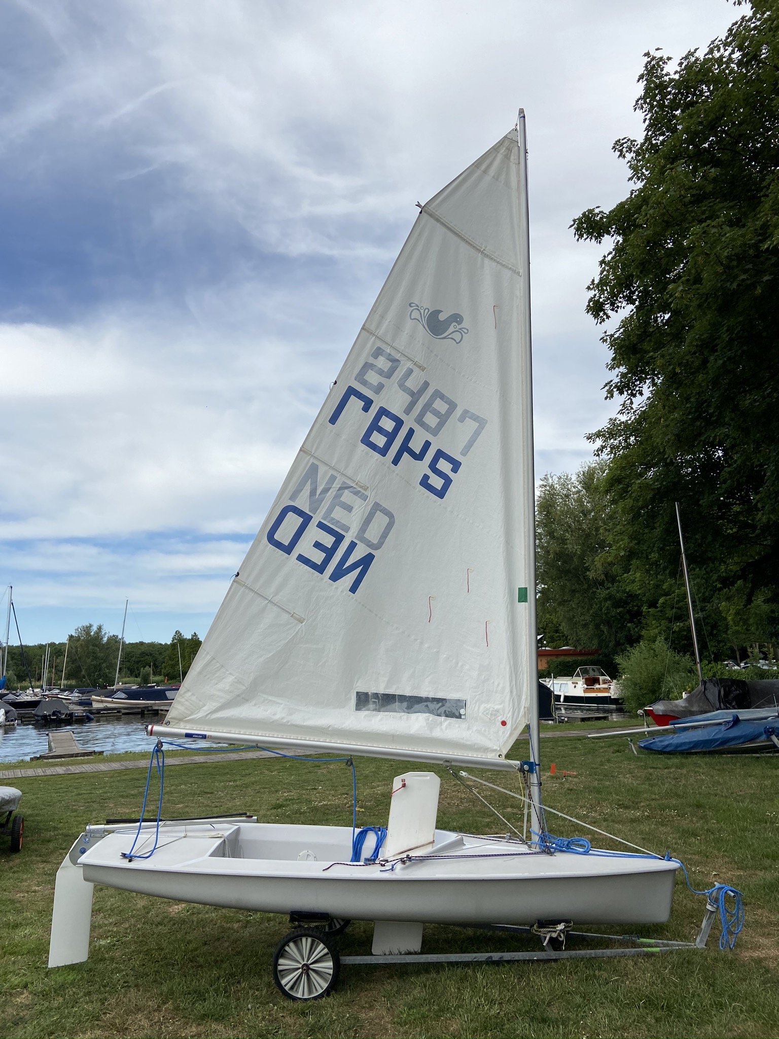 Splash NED 2487