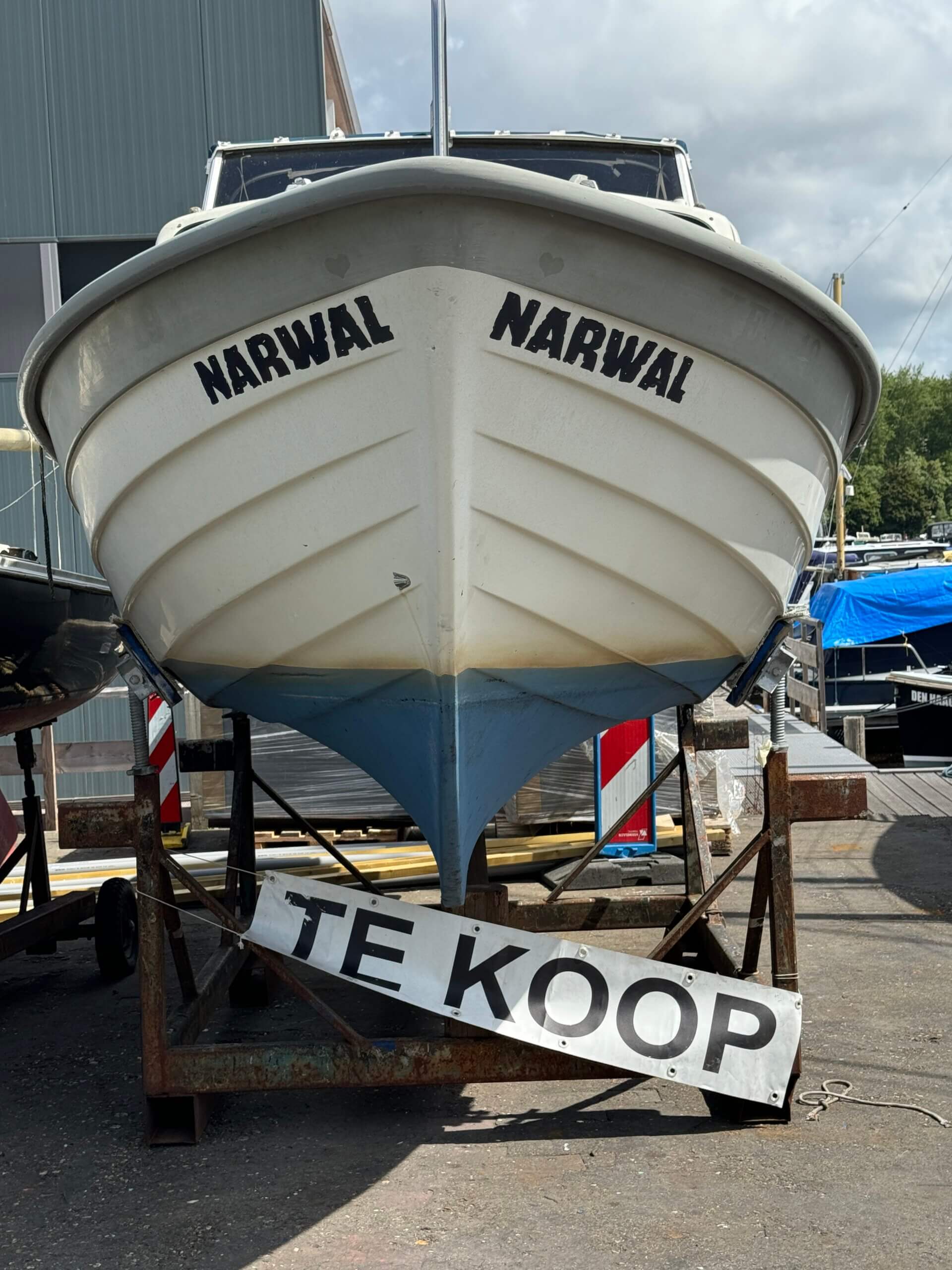 Saga – Narwal