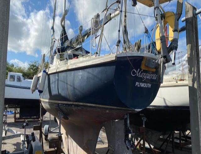 Hurley 22 –  Marguarita